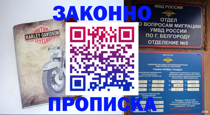 прописка для школы в Медногорске